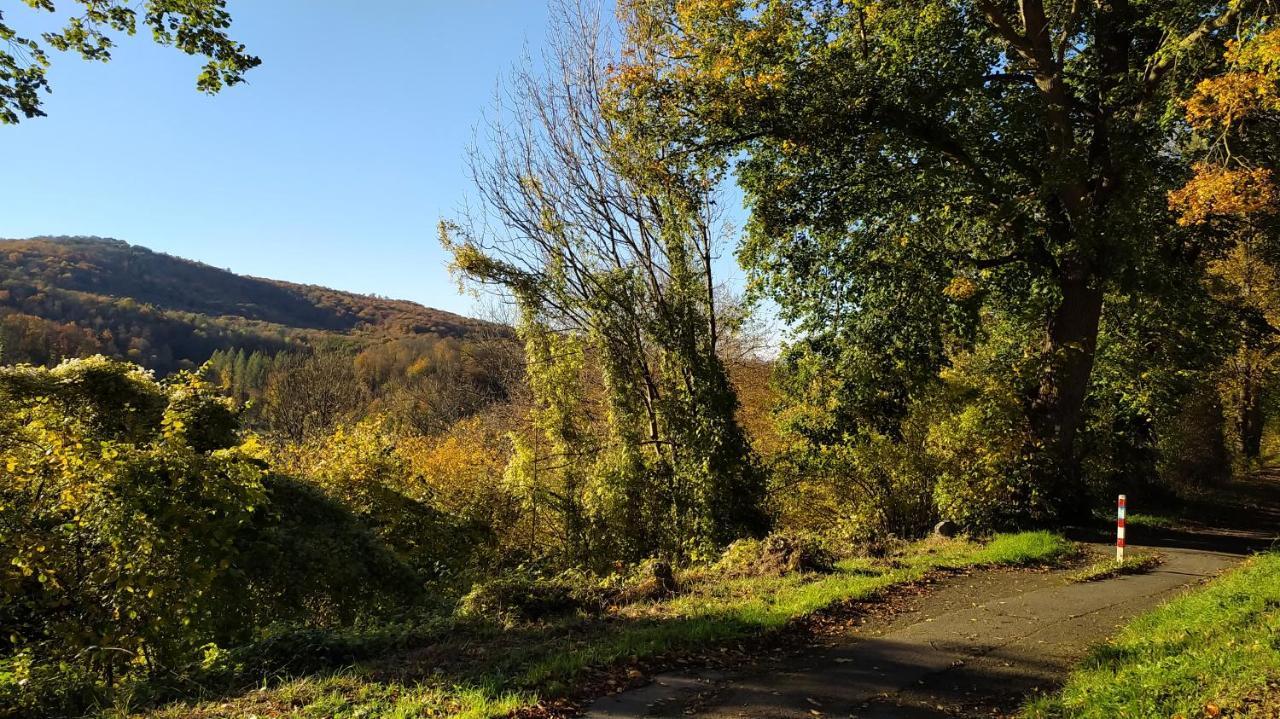 Panoramahaus Sauerland Lejlighed Arnsberg Eksteriør billede