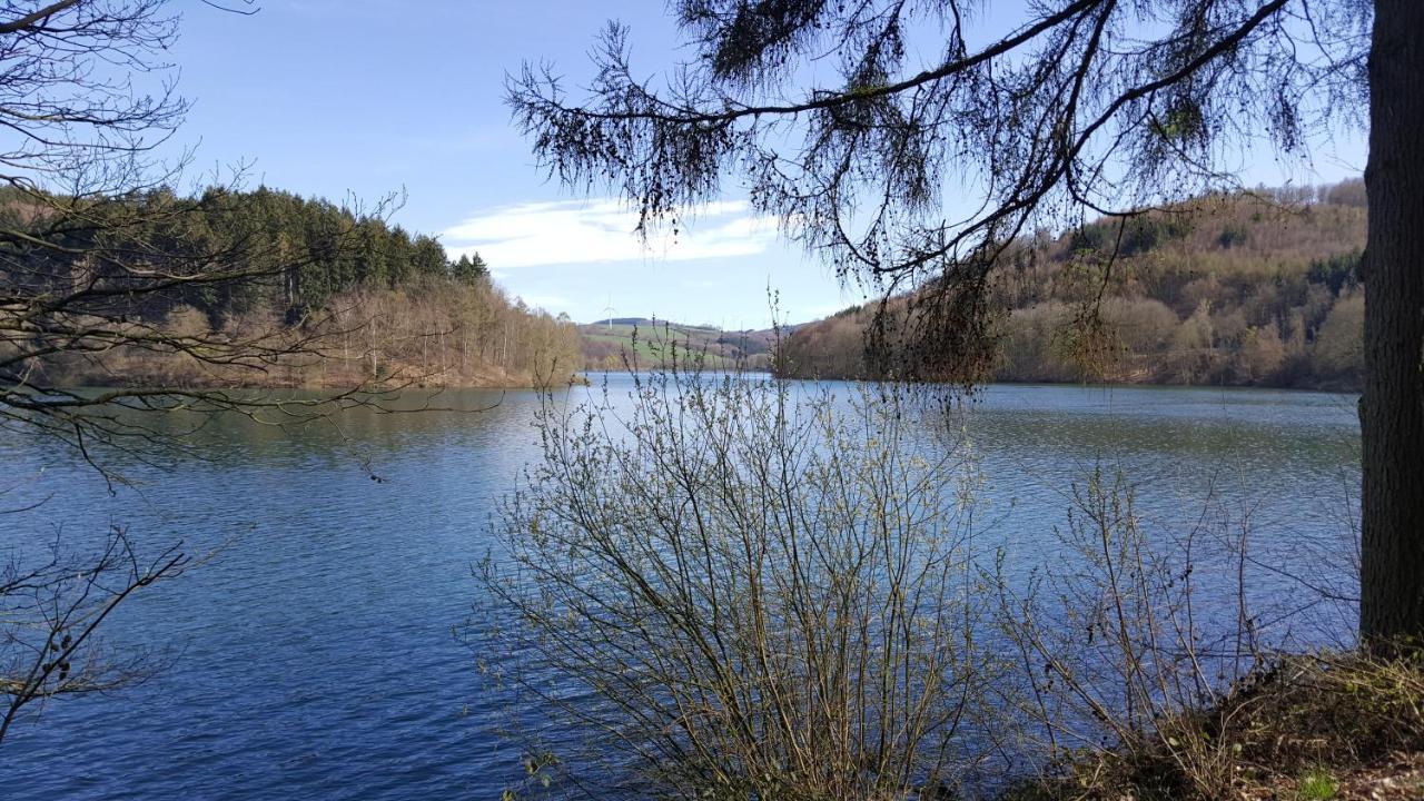 Panoramahaus Sauerland Lejlighed Arnsberg Eksteriør billede